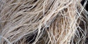 Which is better, cotton yarn or pure cotton (advantages, disadvantages and washing methods of clothing fabrics)