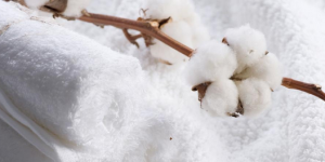 What is the difference between combed cotton (the difference between combed cotton and pure cotton)