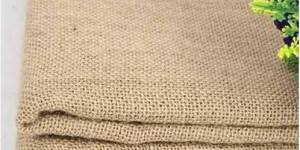 Which is better, ramie or flax (learn about the differences between ramie and flax)