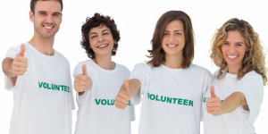 Which cotton fabric is the best for T-shirts (how to choose spring and summer women’s cotton T-shirt fabrics)