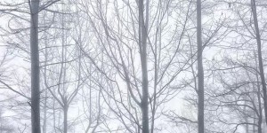 Chengdu class uniform customization (how to do it and get preferential prices)