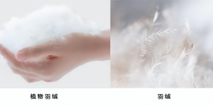 What is the fabric composition of sorona (have you heard of plant down)