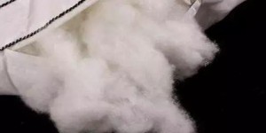 What kind of fabric is microfiber (does it have anything to do with down)?