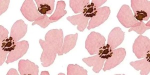 There are several ways to print clothes (several common printing methods I have come across)