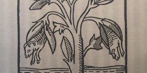 What material is pique cotton fabric (hardcore knowledge about cotton)