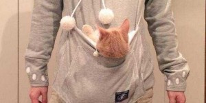 Which sweatshirt looks better with or without pockets (shit-shoveling officers can work with their masters to create concave shapes in the future)