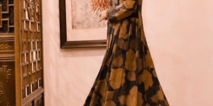 What kind of fabric is crepe de chine silk (what are their advantages and disadvantages)