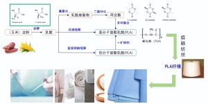 索罗纳面料是什么成分（生物基内衣让谁更高贵了）