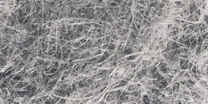 How many kinds of fabrics are there for T-shirts (which fabrics of T-shirts are prone to skin allergies)