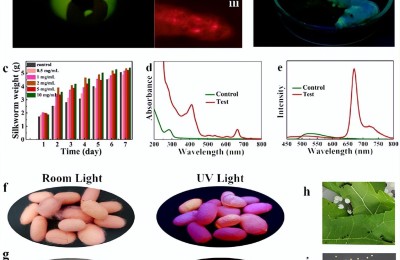 Have you seen fluorescent fiber (the best way to produce fluorescent silk)