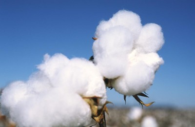Which fabrics are more warm in winter (which fabrics are less likely to wrinkle)