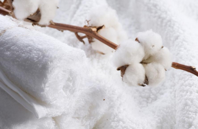 What is the difference between combed cotton (the difference between combed cotton and pure cotton)