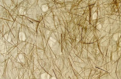 What kind of fabric is ramie (it turns out that these are the common hemp fibers on the market)