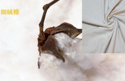 How to choose various types of cotton (what you should know about cotton fabrics)