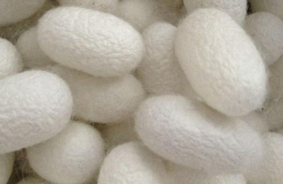 Which is better, crepe de chine silk or mulberry silk (what is the difference between mulberry silk and pure silk)