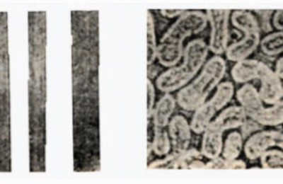 What kind of fabric is vinylon (how much do you know about vinylon)