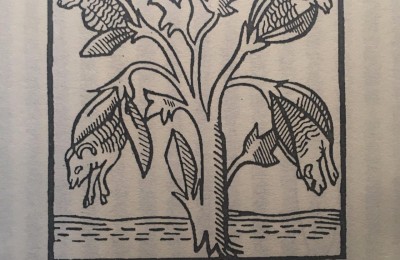 What material is pique cotton fabric (hardcore knowledge about cotton)