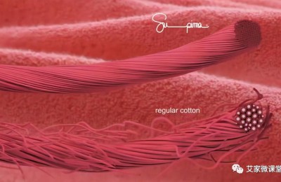 Which one is better, pima cotton or pure cotton (what are the types of cotton)