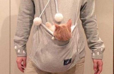 Which sweatshirt looks better with or without pockets (shit-shoveling officers can work with their masters to create concave shapes in the future)