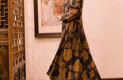 What kind of fabric is crepe de chine silk (what are their advantages and disadvantages)