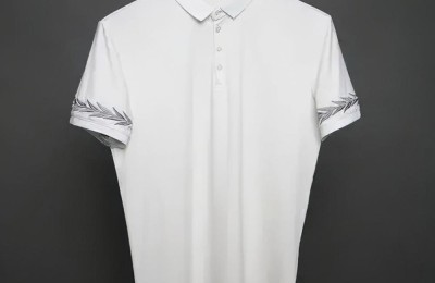 How to choose a T-shirt (how to choose a T-shirt that you are satisfied with)