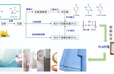 索罗纳面料是什么成分（生物基内衣让谁更高贵了）